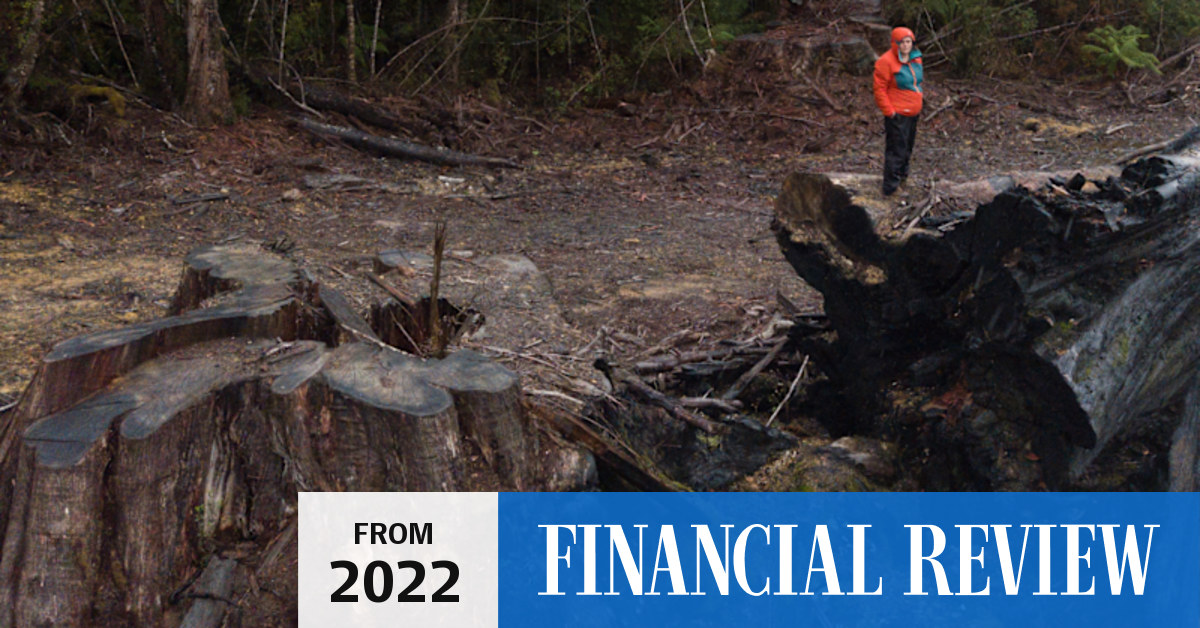 Morrison makes 219m pitch to woo Tasmanian forestry workers